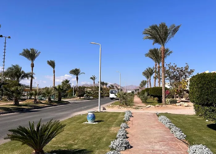 Hills - Lovely With Pool View And Free Access شقة